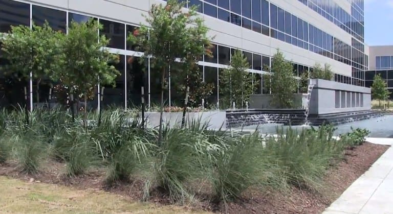 A Total Landscape Transformation For Murphy Exploration’s New Tower 2 Embark's skilled team of Landscape Professionals and Certified Arborists can handle your LEED projects of any shape and size.