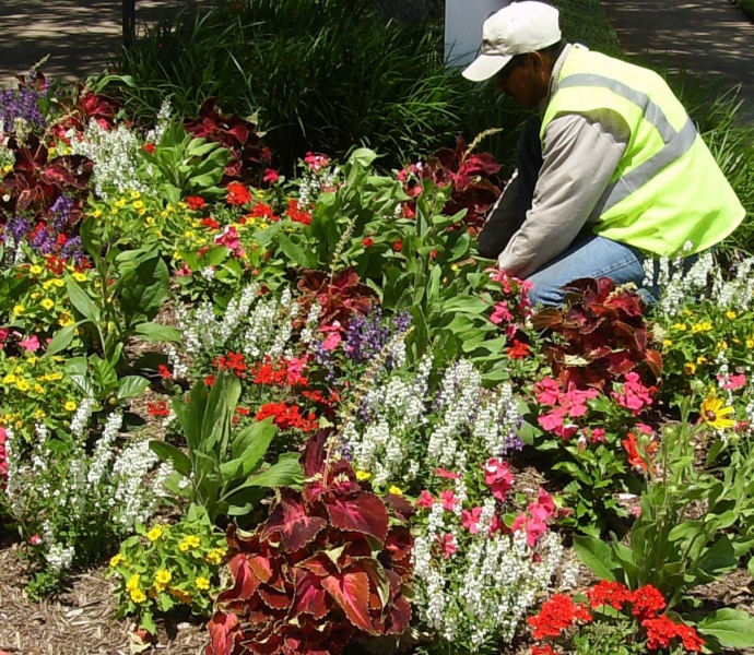 Choosing a Total Landscape Service Provider Is a Smart Investment
