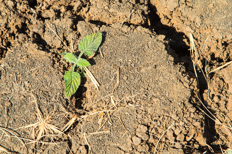 Three Ways To Reduce Soil Erosion on Your Commercial Property