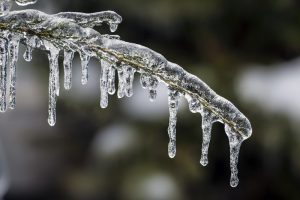 Did A Hard Freeze Damage Your Commercial Property?