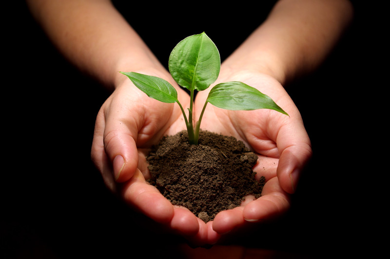 How LMC Protects The Environment