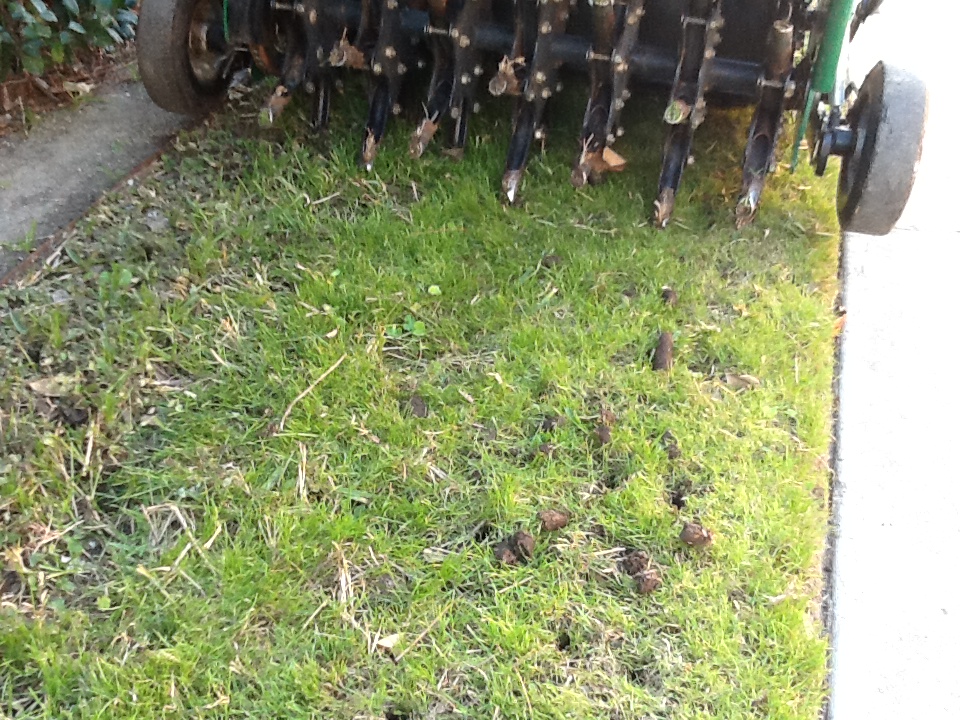 The Financial Benefits of Soil Aeration