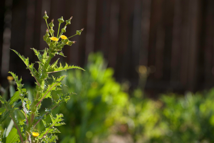 Why Prevention Can Be The Best Thing For Your Property