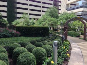 Why Quality Matters With Landscaping and Tree Care Services