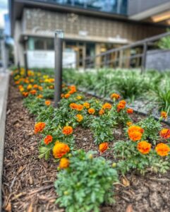 Why Fall is the Best Time to Refresh Your Commercial Landscape