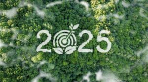New Year, New Landscape: Top Commercial Landscaping Trends for 2025