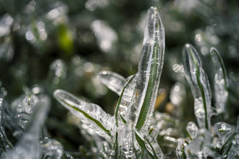Stress-Free Watering: Why Smart Irrigation is a Winter Must for Houston Landscapes