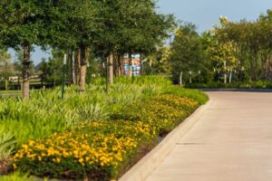 Rising Temps, Rising Needs: How to Prepare Your Commercial Landscape for Houston’s Summer Heat