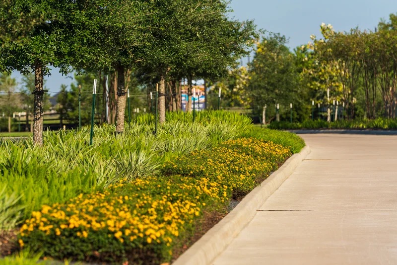 Rising Temps, Rising Needs: How to Prepare Your Commercial Landscape for Houston’s Summer Heat