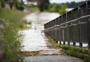 Weathering the Storm: How to Hurricane-Proof Your Commercial Landscape in Houston