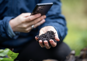 Mid-Year Landscape Check-In: Why July is the Perfect Time to Evaluate and Plan Ahead