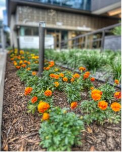 Fall Landscape Prep Guide — Setting Your Commercial Property Up for Year-Round Success