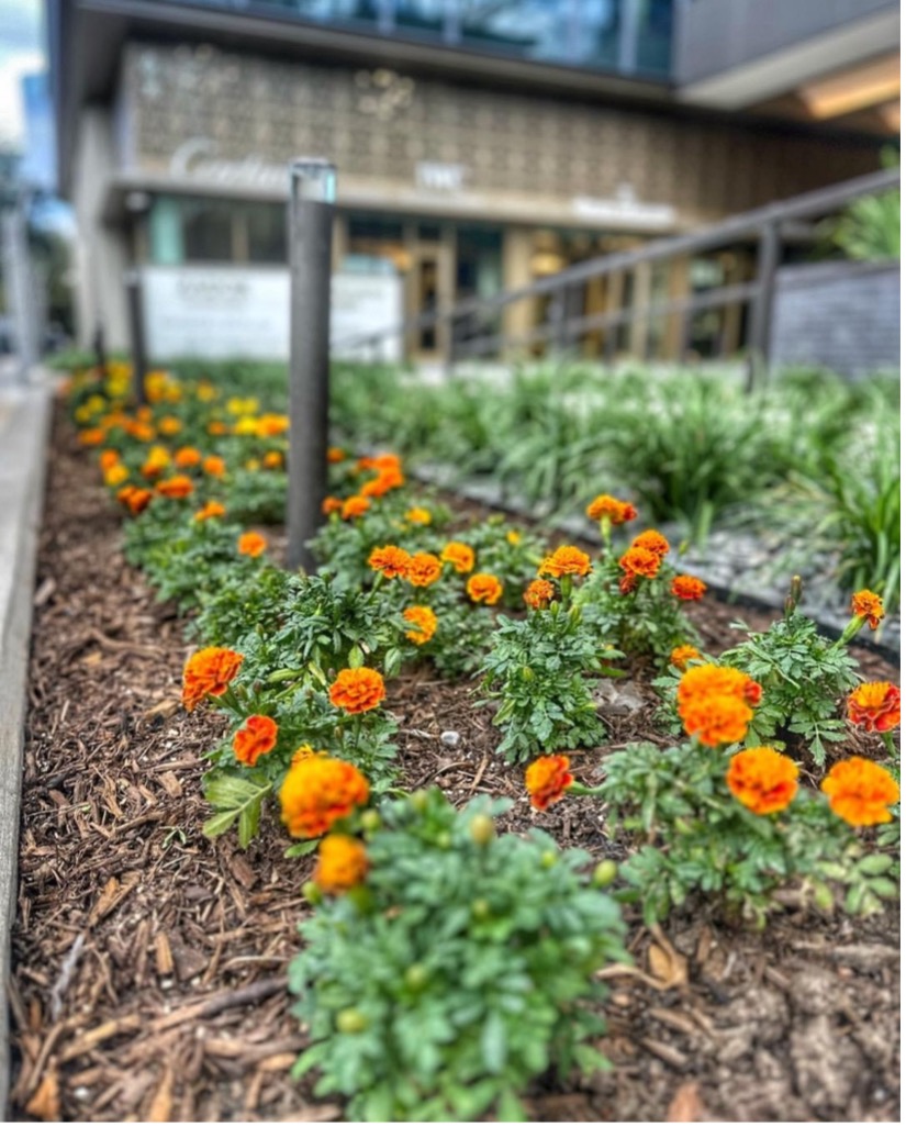 Fall Landscape Prep Guide — Setting Your Commercial Property Up for Year-Round Success