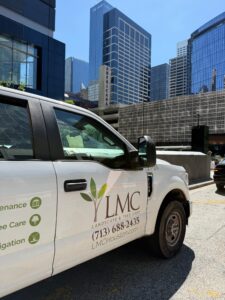 A New Year Landscape Reset: How LMC Helps Houston Properties Start Strong in January