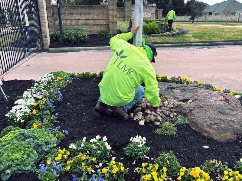 LMC Houston Crews: 5 Ways They Drive Stronger Landscapes